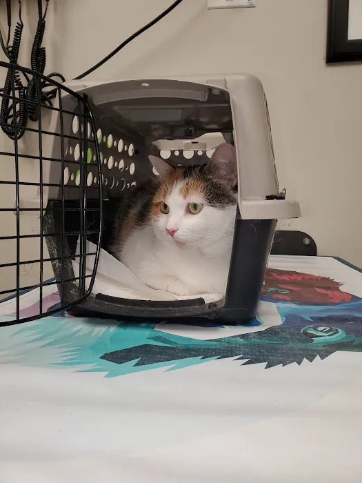 Veterinary Wellness Center of New Haven 4