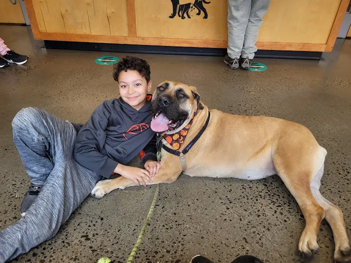 Veterinary Wellness Center of New Haven 1