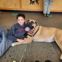 Veterinary Wellness Center of New Haven ico