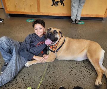 Veterinary Wellness Center of New Haven