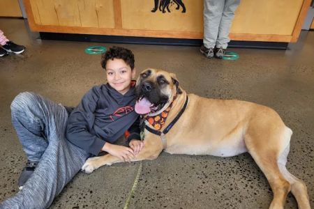 Veterinary Wellness Center of New Haven