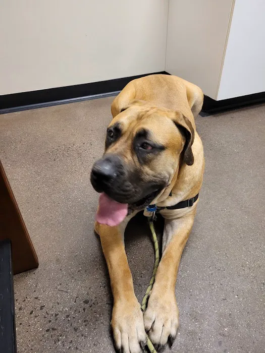 Veterinary Wellness Center of New Haven 3