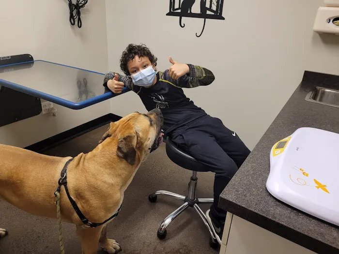 Veterinary Wellness Center of New Haven 2