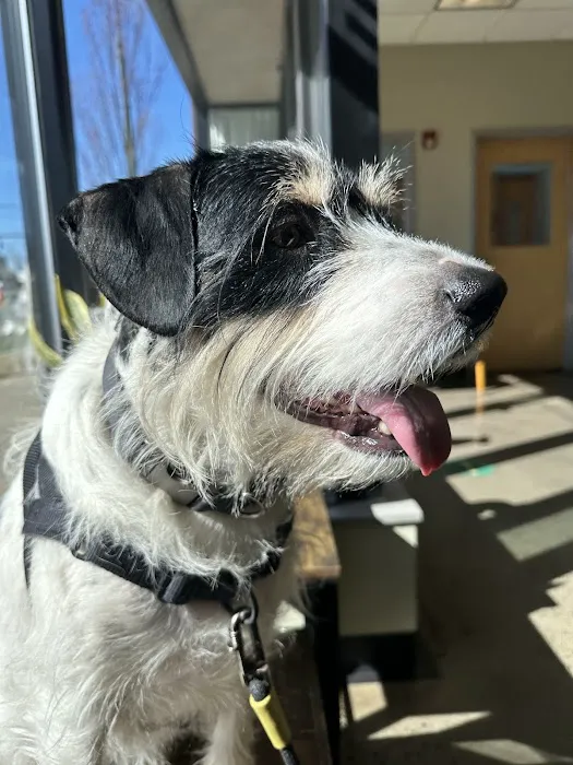 Veterinary Wellness Center of New Haven 9