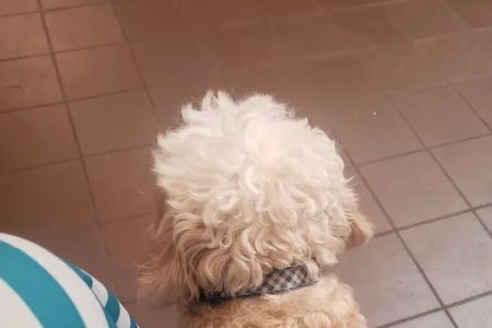 West Haven Animal Clinic