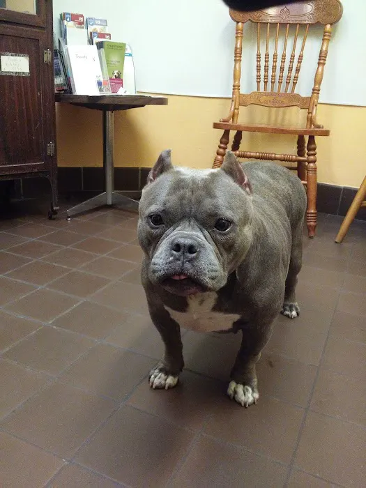 West Haven Animal Clinic 12