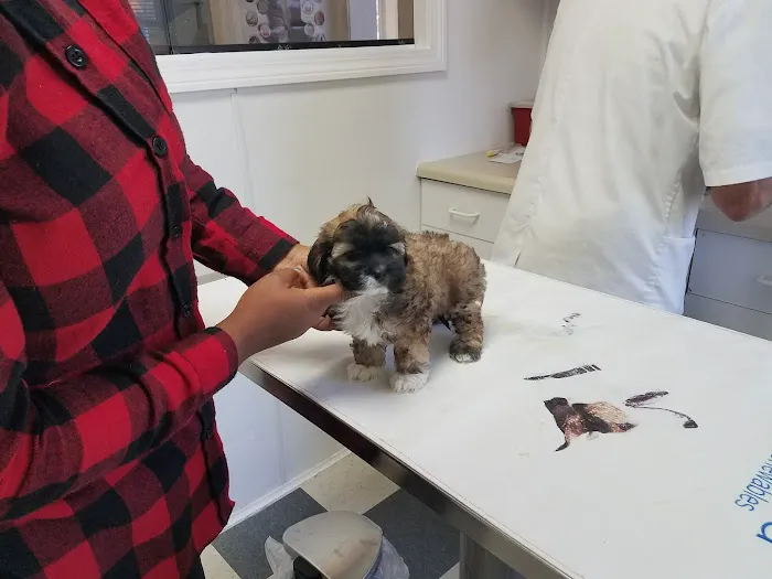 Angel Animal Hospital 12