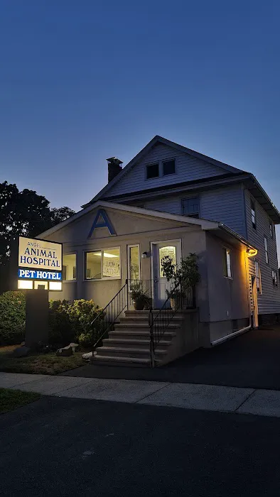 Angel Animal Hospital 12