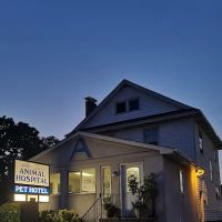 Angel Animal Hospital ico