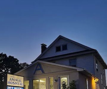 Angel Animal Hospital