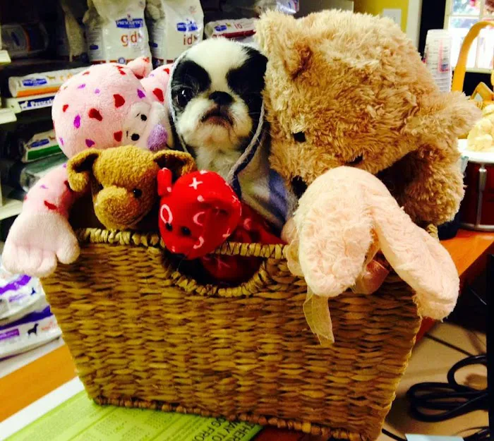 Armadale Animal Hospital 12