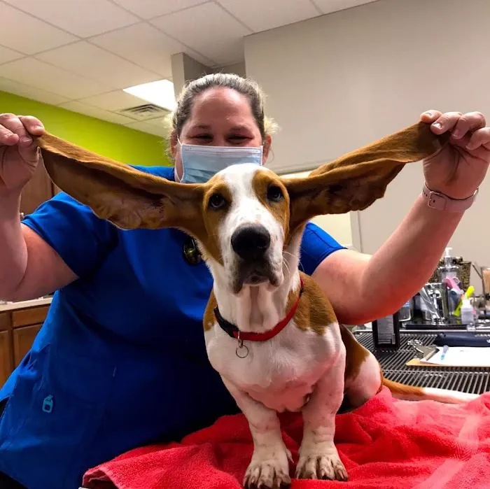 VetMed Alliance 12
