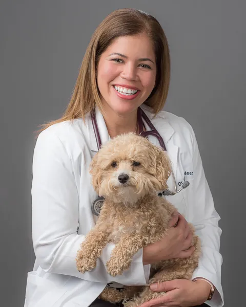 VetMed Alliance 12