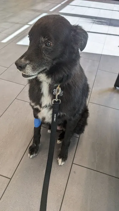 Banfield Pet Hospital 12