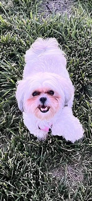 Banfield Pet Hospital 12