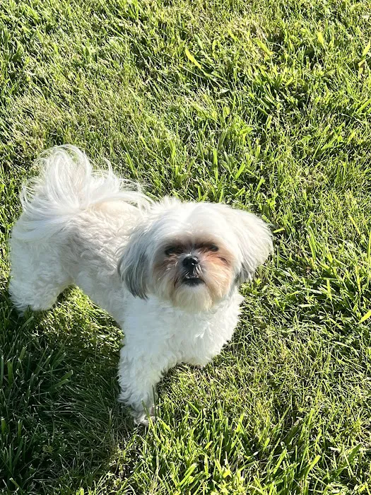 Banfield Pet Hospital 12