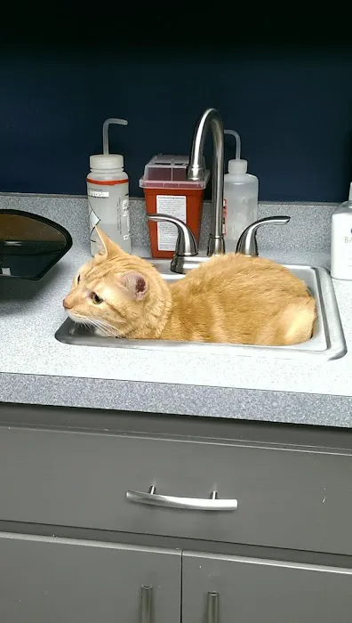 Six Forks Animal Hospital 12