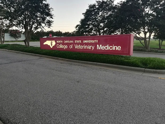 Terry Companion Animal Veterinarian Medical Clinic 5