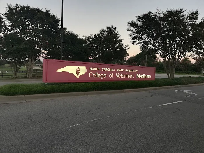 Terry Companion Animal Veterinarian Medical Clinic 2