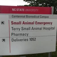 Terry Companion Animal Veterinarian Medical Clinic ico