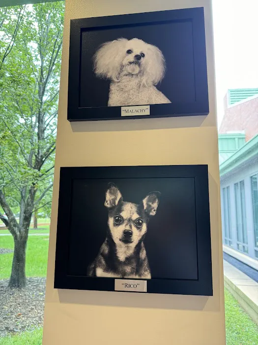 NCSU Veterinary Hospital 12