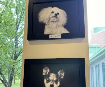 NCSU Veterinary Hospital