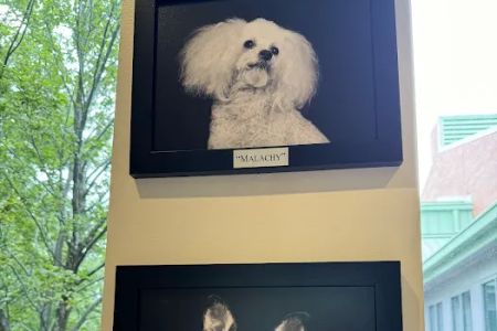 NCSU Veterinary Hospital