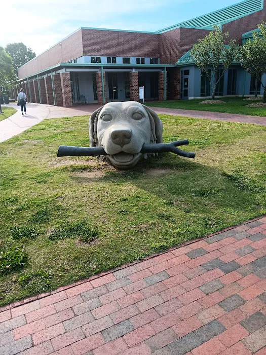 NCSU Veterinary Hospital 12