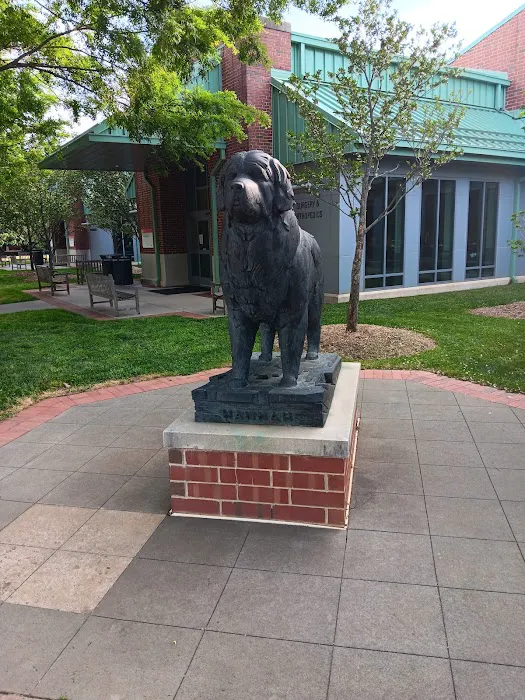 NCSU Veterinary Hospital 12