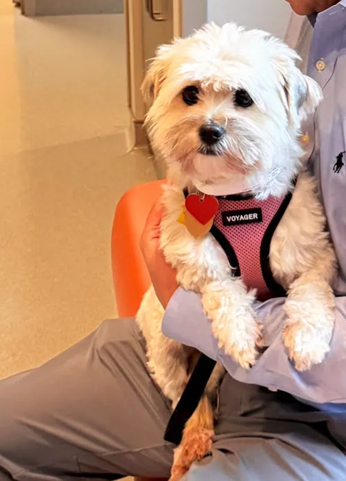 NCSU Veterinary Hospital 12
