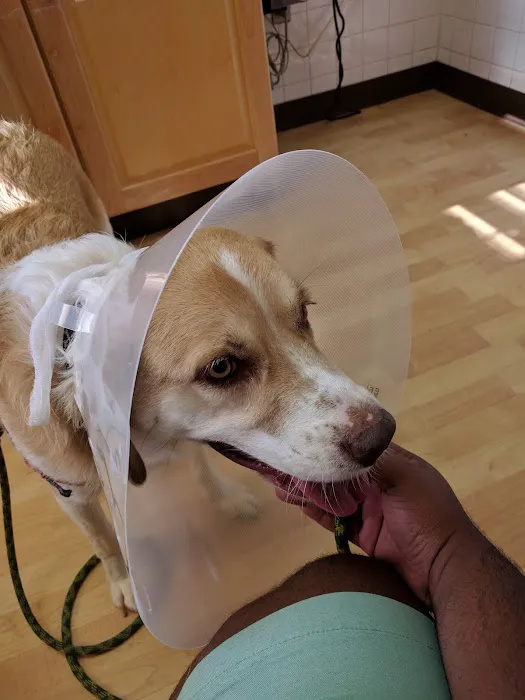 Boulevard Animal Hospital 12