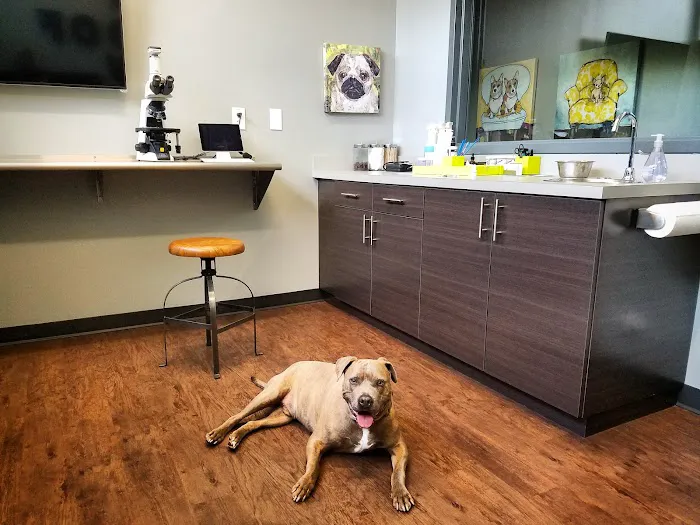 Oak Heart Veterinary Hospital at Person Street 12