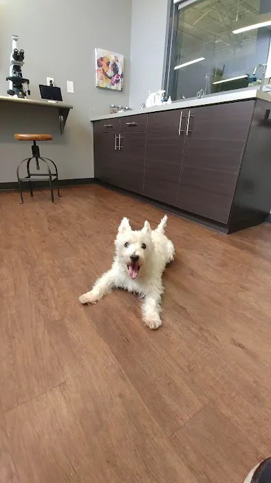 Oak Heart Veterinary Hospital at Person Street 12