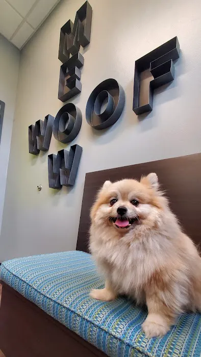 Oak Heart Veterinary Hospital at Person Street 12