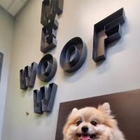 Oak Heart Veterinary Hospital at Person Street ico