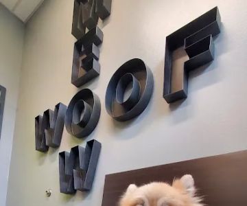 Oak Heart Veterinary Hospital at Person Street