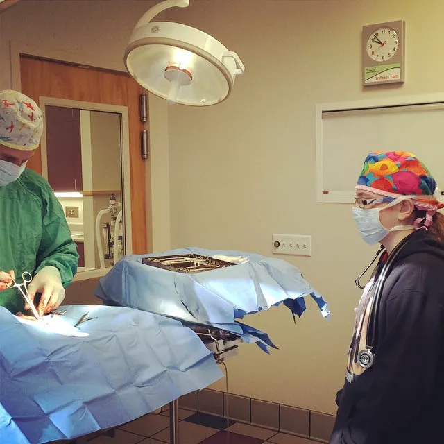 Care First Animal Hospital at Oberlin 12
