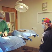 Care First Animal Hospital at Oberlin ico