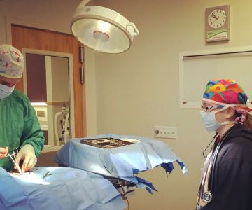 Care First Animal Hospital at Oberlin
