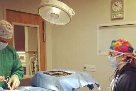 Care First Animal Hospital at Oberlin
