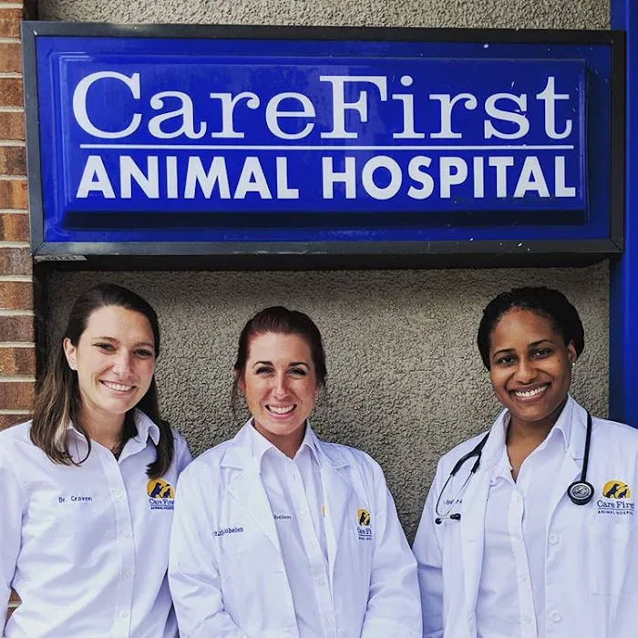 Care First Animal Hospital at Oberlin 12