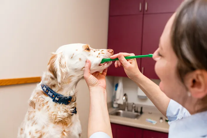 Care First Animal Hospital at Oberlin 12