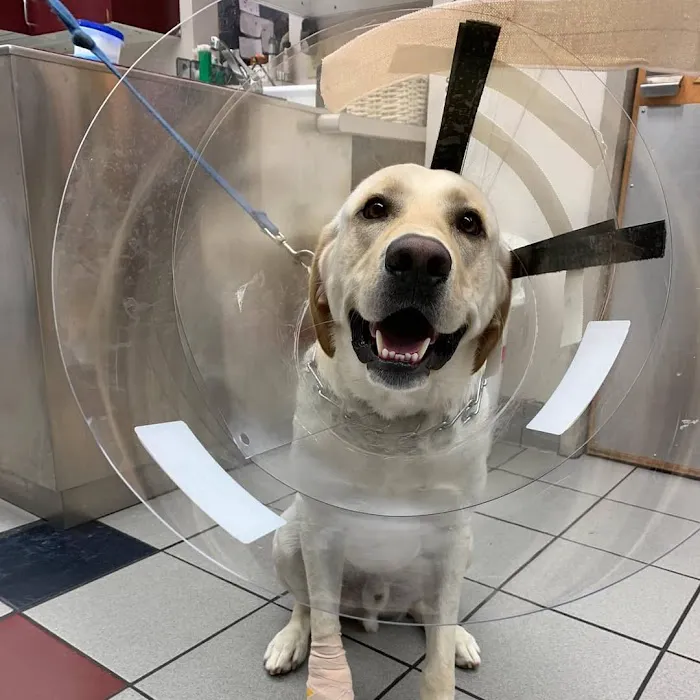Care First Animal Hospital at Oberlin 12