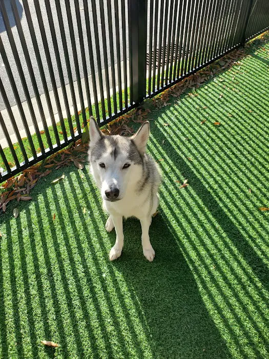 North Hills Animal Hospital & Resort 4