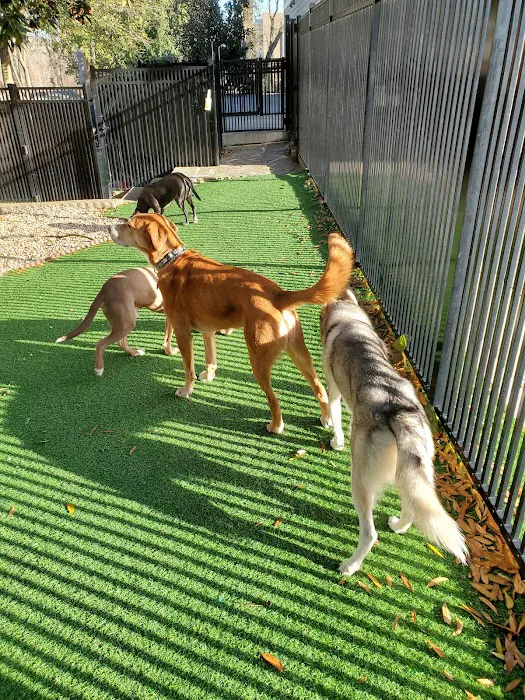 North Hills Animal Hospital & Resort 5