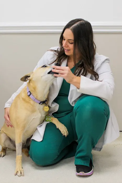 Wendell Animal Hospital 2