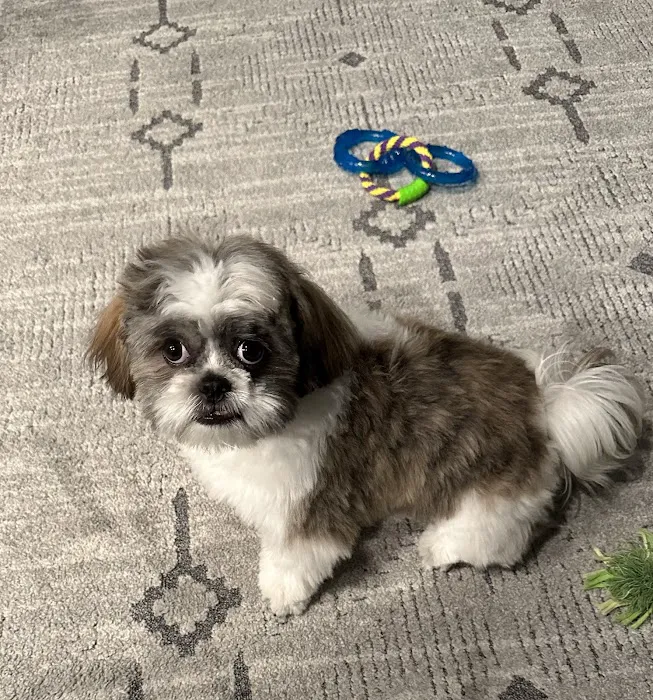 Wendell Animal Hospital 7