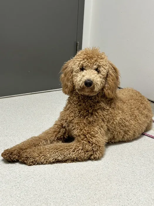 Wendell Animal Hospital 9