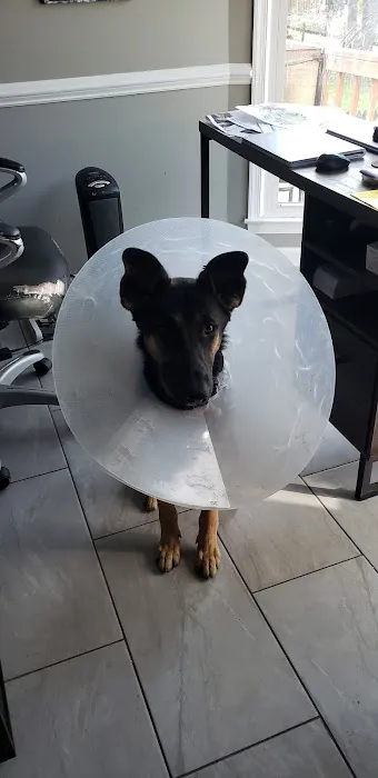 Knightdale Animal Hospital 5
