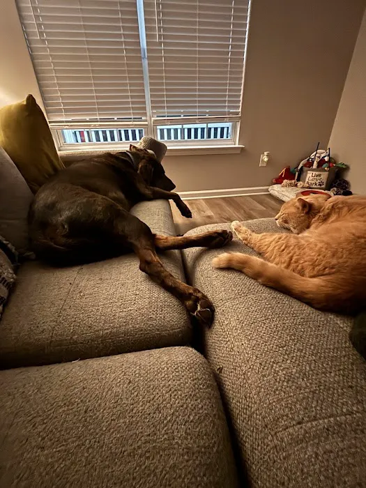 Knightdale Animal Hospital 6